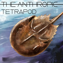 The Anthropic