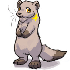 Ploof the Fisher Cat
