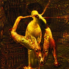 Feed Them Like Birds