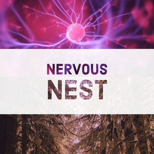 Nervous Nest’s avatar