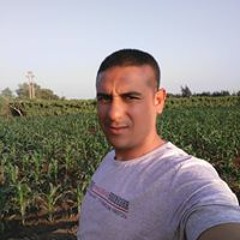 ابوعامر ويوسف