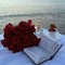 Donia hafez