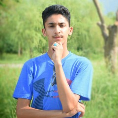 bayan