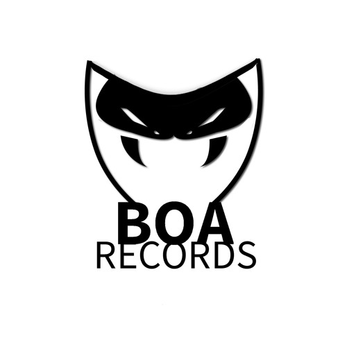 Boa Records’s avatar