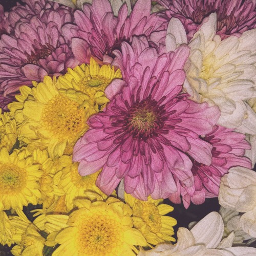 Daydream - Tori Kelly