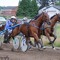 Daan Wouters