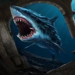 MistRsharky