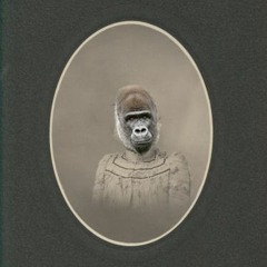 Monk IZM