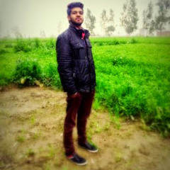 Paras Verma