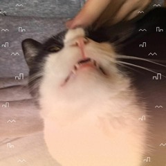 Safety in Sound Official