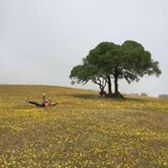 Diego Ignacio Contreras