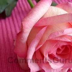 ابراهيم الفقي