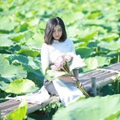 Nguyễn Tuyết Anh