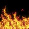 Scorchingamer