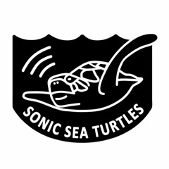 Sonic Sea Turtles