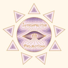 Introspective Projections