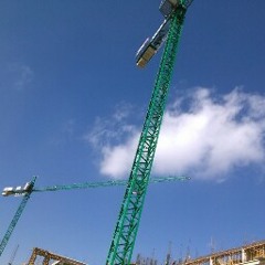 ANGELICA VERONICA RICO