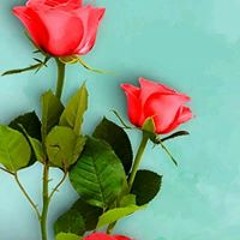 اسامه أبو ادم الاسيوطى