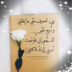 Soso Nagib
