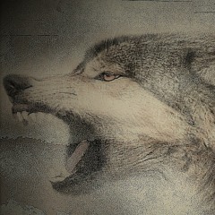 Wolf Den