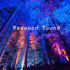 Redwood Sound