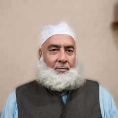 Muhammad Mansha ul Rizvi