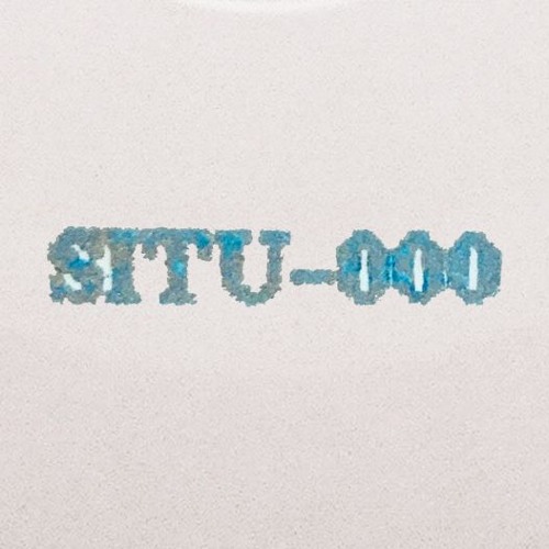 SITU Records’s avatar