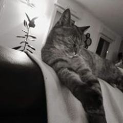 Amélie