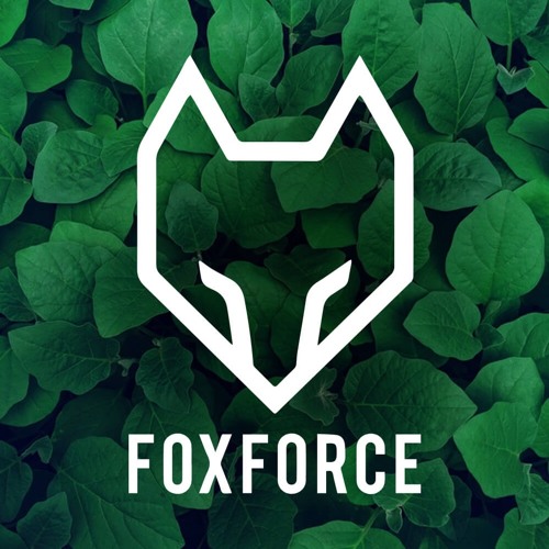 The FoxForce’s avatar