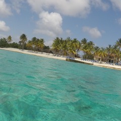 Maka Koa
