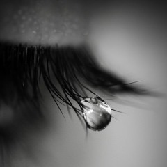 y.tear