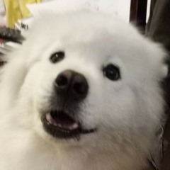 Al