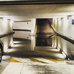 roastuggy