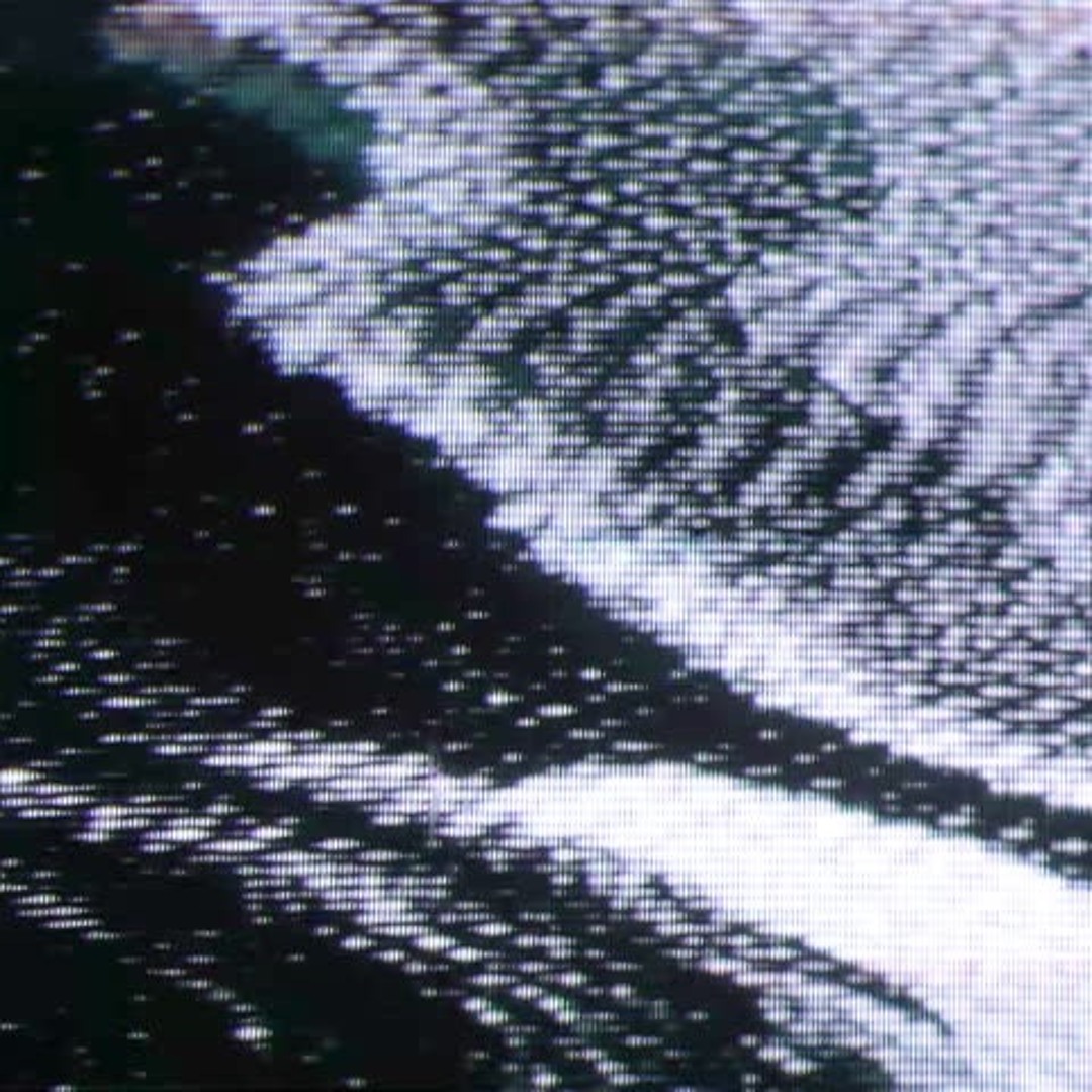 洋楽 V/Vm True Butchers Jansky Noise Spiller 洋楽 V/Vm True Butchers Jansky Noise Spiller Jansky Noise