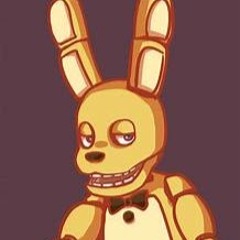 MR.Springbonnie