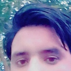 Qasim Abbassi
