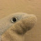Stuffy Studios