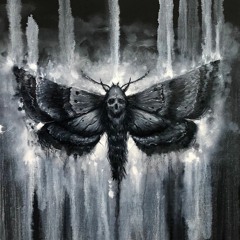 The Butterfly Effect