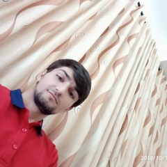 Habib