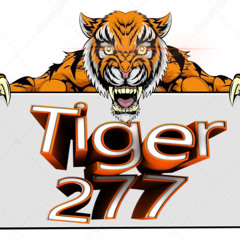 Tiger 277