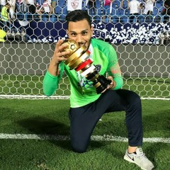 Mahmoud Elawady