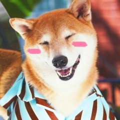 Shiba Cloak