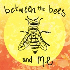 Between the Bees and Me