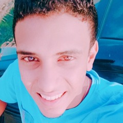 Hassan M. Abu El-Soud