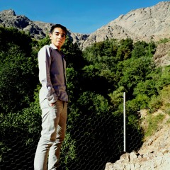 Alireza