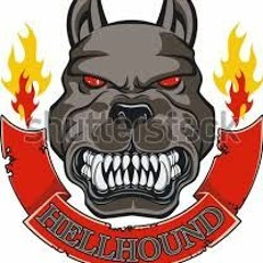 twpbic03 hellhound