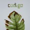 codigo