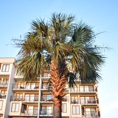 Spanky Desk Sniper Havoc a.k.a Funk Loaf
