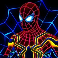 The spider slayer
