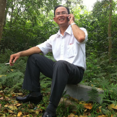 Nguyen Minh Hoang